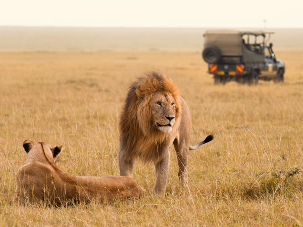 Masai Mara