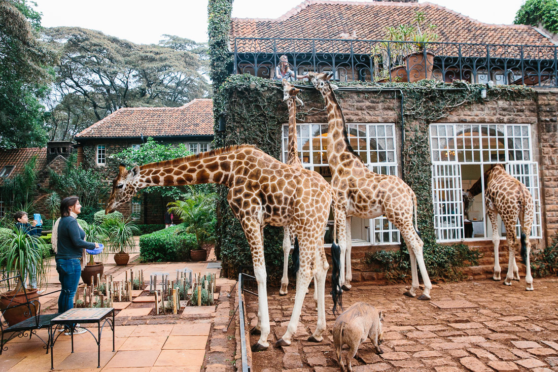 Nairobi Elephant Sanctuary & Giraffe Center Day Tour